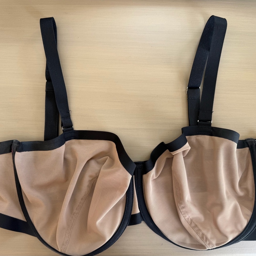 CUUP Black and Tan Sheer Bra